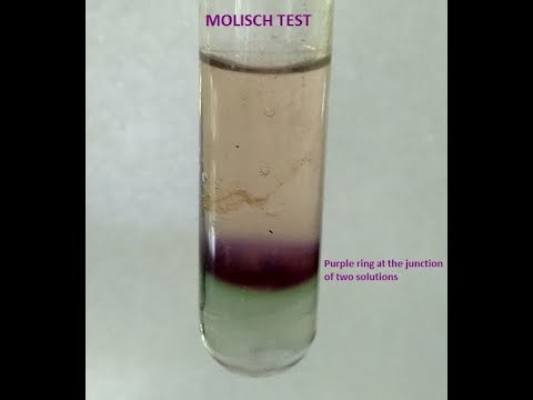 Molisch Test-a group test  for Carbohydrates