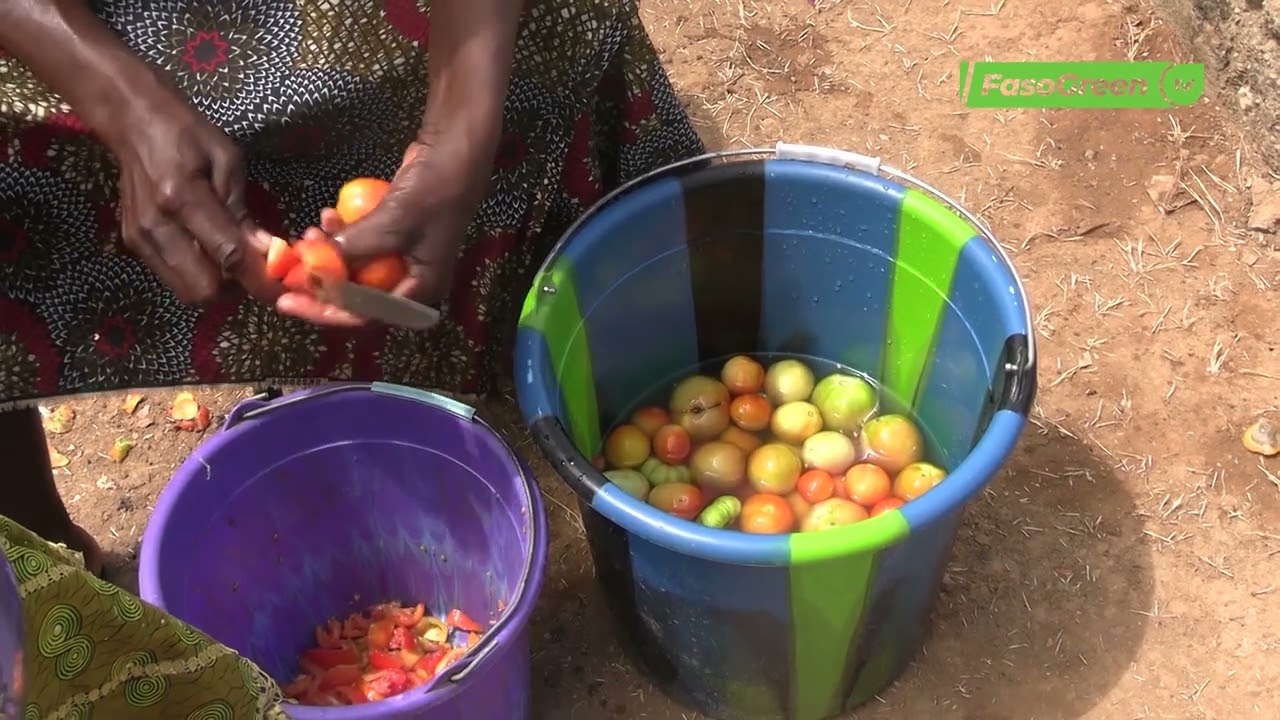 Agriculture : Relance et sécurité renforcée au Burkina Faso