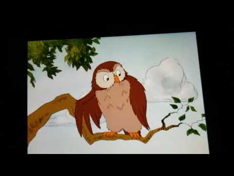 Owl - Party At Owl's House