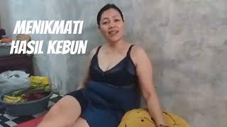 Download lagu Bunda panen hasil kebun durian mp3 Download lagu Bunda panen hasil kebun durian mp3