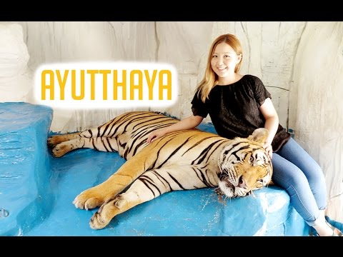 TAILÂNDIA VLOG: Ayutthaya, Mercado Flutuante de Ayothaya e Vila dos Elefantes
