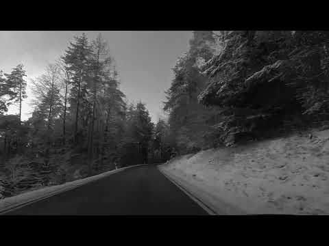 Askprojekt -  Black Forest (Atmospheric Dub Techno)