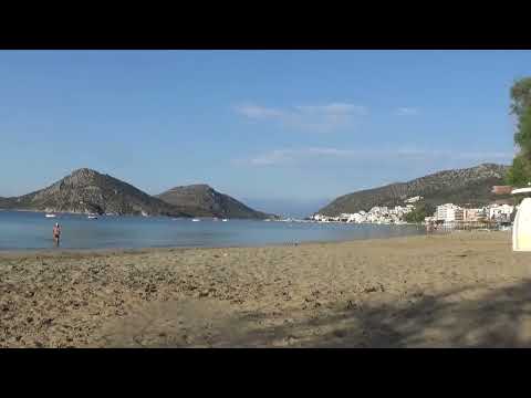 KATANA 180622 22 IMMER NUR HER DAMIT