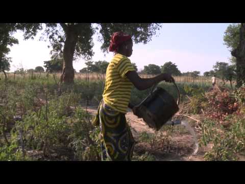 Lifesaving Plumpy'Nut for Children in the Sahel