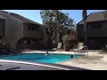 Zayan Swimming In 8 Ft