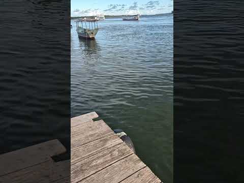 Veja a beleza do Rio São Francisco em Piaçabuçu Al.