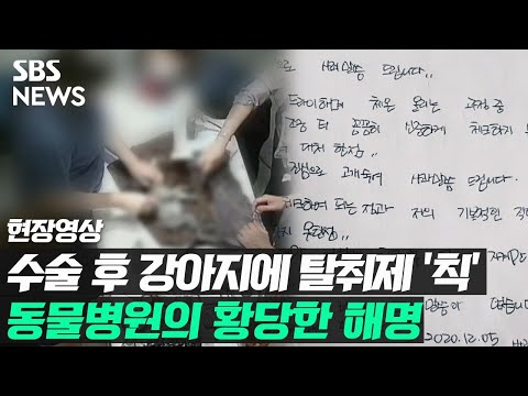 아이콘
