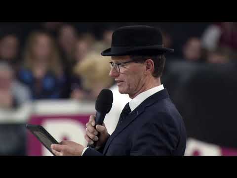 FADERPAARD 2019 Compilatie