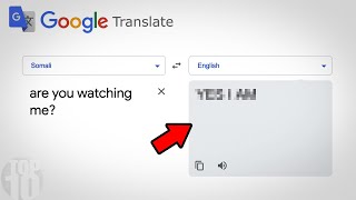 10 Things to Never Type into Google Translate