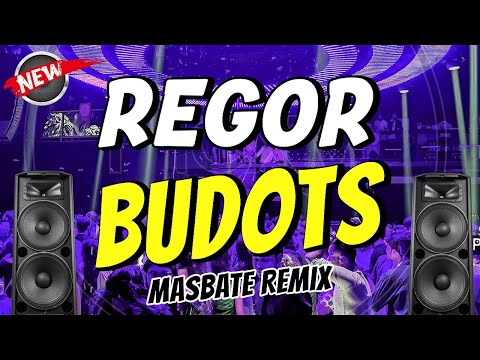 REGOR - VIRAL BUDOTS | DJ JOHNREY DISCO REMIX