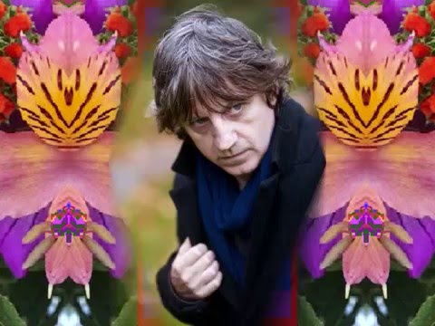 Strange Kid (by the Bap Kennedy Trio live in Italy, 2014)