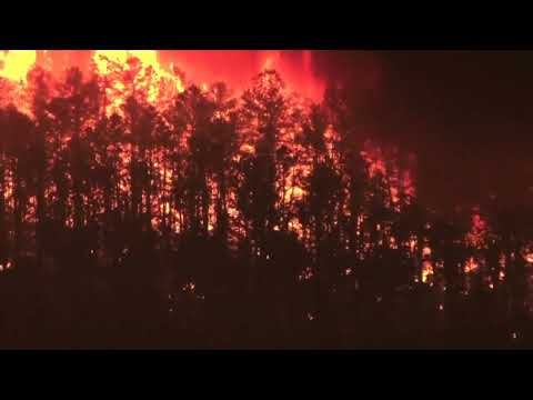 NJ Forest Fire Season