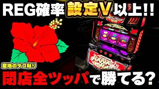【ニューキングハナハナ】BIG以外の内容は完璧なのに...意地の閉店全ツッパで勝てる??【パチンカス養分ユウきのガチ実践#446 】