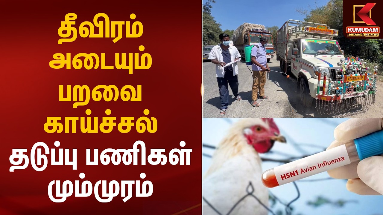 தீவிரம் அடையும் பறவை காய்ச்சல் தடுப்பு பணிகள் மும்முரம் | Bird Flu | Kumudam News