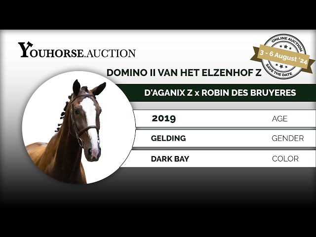 Domino II van het Elzenhof Z