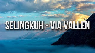 Download lagu Via Vallen - Selingkuh Lyric mp3