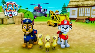 PATRULHA CANINA   Super Filhotes Salvam os Patos   Chase, Marshall, Skye, Rubble   NICK JR HD