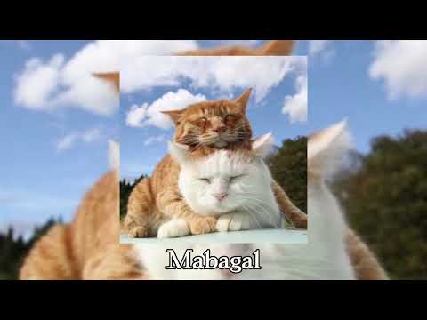 Mabagal (slowed)