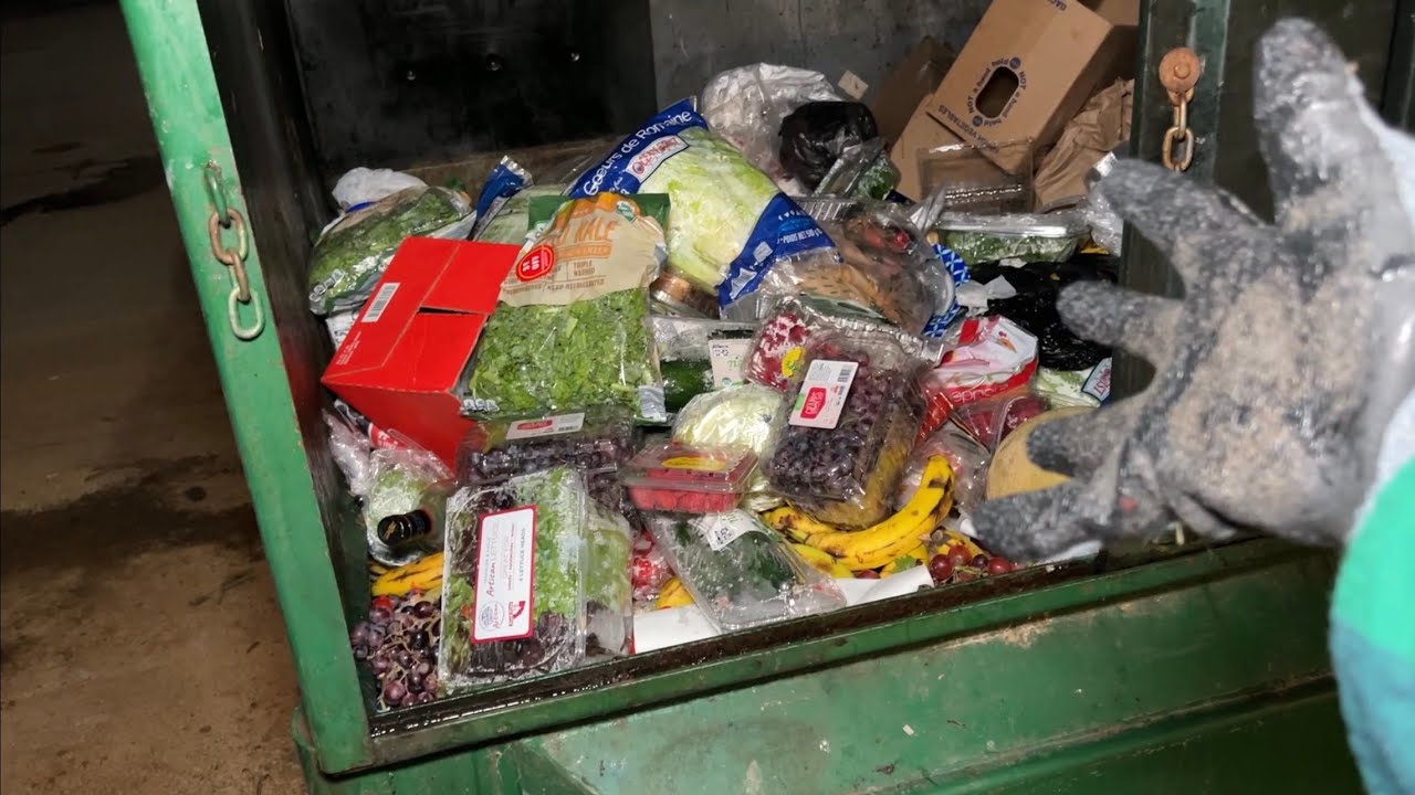 Dumpster Diving Aldi #185 Free Grocery Shopping