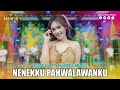 RIRIN DA NENEKKU PAHLAWANKU I Mahesa Music