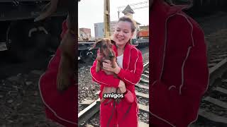 Ella Sólo Quería Hacer Feliz A Su Perro y Esto Pasó 😢