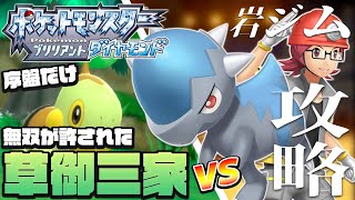 #2 序盤最強のナエトルで暴れまくってみた結果…【ポケモンBDSP実況】