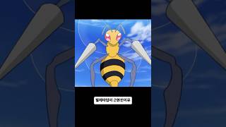 벌레타입이 근본인 이유. #pokemon #포켓몬