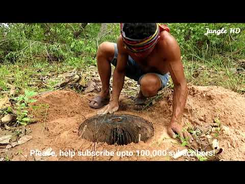 Primitive Technology: Easy Underground Python Snake Trap Using Snake Eggs by Jungle HD