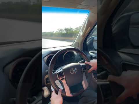 Prado VS Premio | Motorway Race