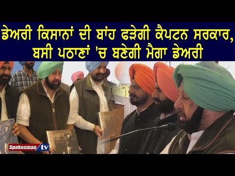 ਡੇਅਰੀ ਕਿਸਾਨਾਂ ਦੀ ਬਾਂਹ ਫੜੇਗੀ ਕੈਪਟਨ ਸਰਕਾਰ, ਬਸੀ ਪਠਾਣਾਂ 'ਚ ਬਣੇਗੀ ਮੈਗਾ ਡੇਅਰੀ