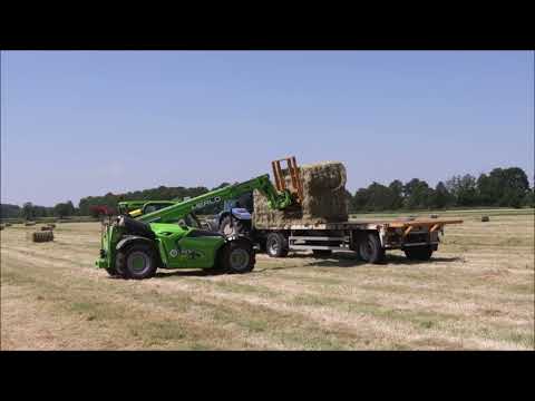 Merlo TF 33,7 beim Heuballen laden, 2 Transport Gespanne.