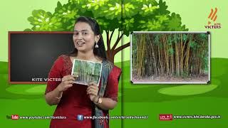Standard 4 | Environmental Studies | Class – 12