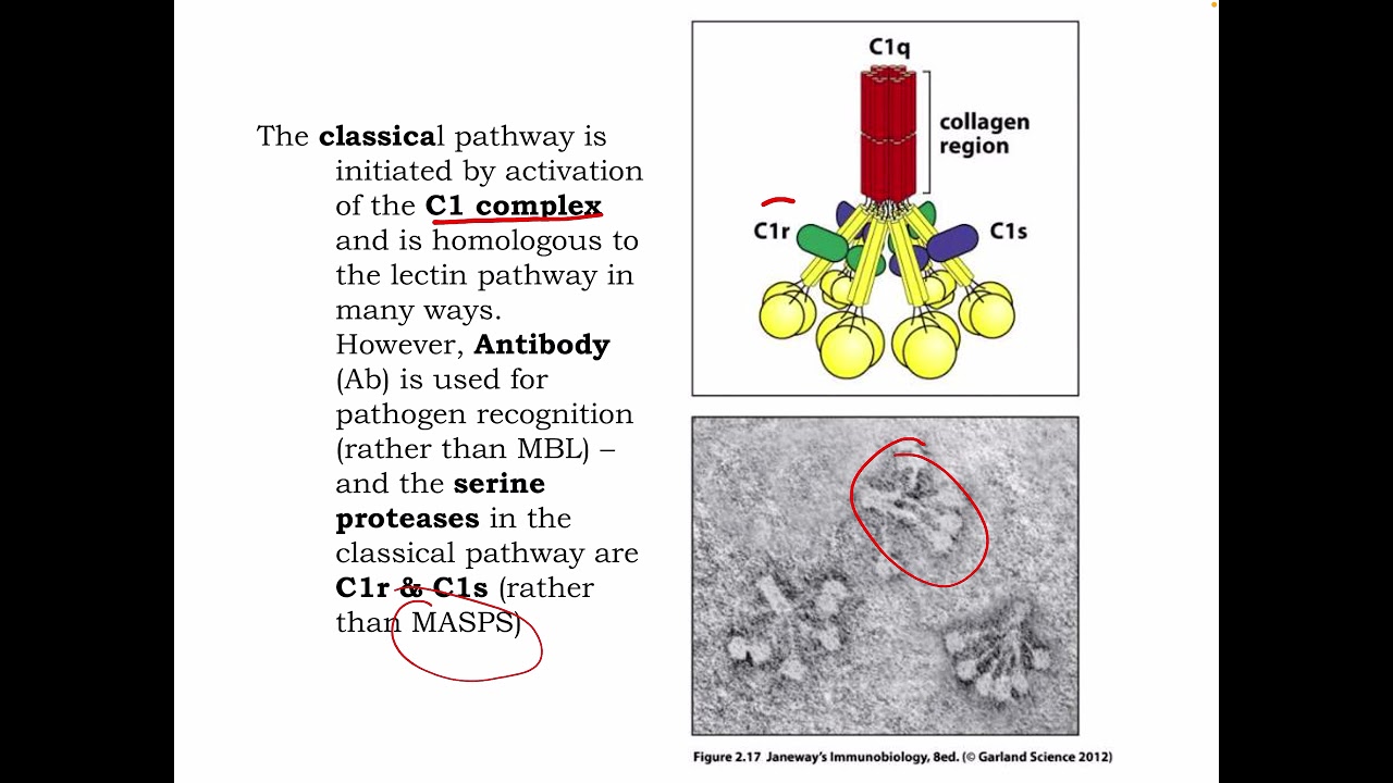 Lecture 3 Complement