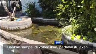 Download lagu Cegah, Lindungi, Ingatkan Teman dan Keluarga tentang Bahaya Sampah Plastik mp3