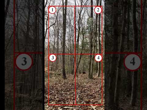 Mystery camo April 2023 - find it and you can win!