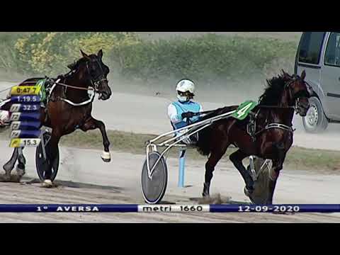 Aversa trotto 12 Settembre 2020 - 1° Corsa