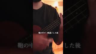 ウクレレで『癇癪と色気 - キリンジ』