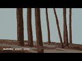 Midlake - Paper Gown