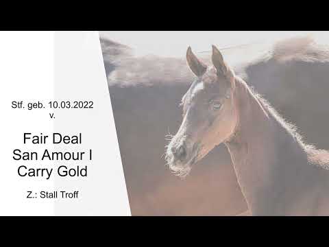 Stf v Fair Deal x San Amour I x Carry Gold 2022