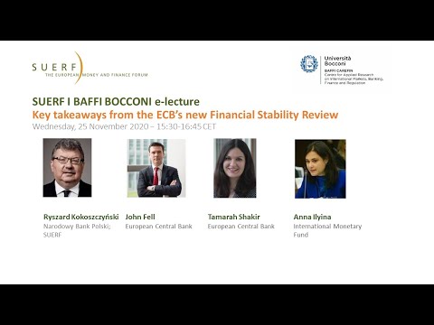 SUERF Baffi-Bocconi Webinar - ECB Financial Stability Review Nov2020 - Fell Shakir Alyina - 20201125