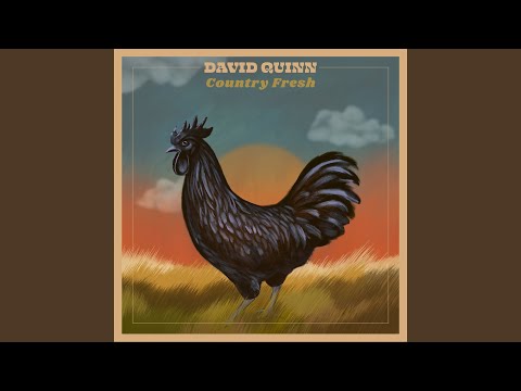 Easy Like The Breeze - David Quinn