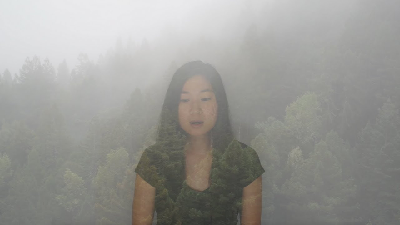 Evergreen - Melody Niche