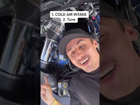 This One MOD GIVES YOU Way To MUCH HP For Way To CHEAP!!🐎🐎