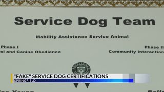 "Fake" service dog certifications