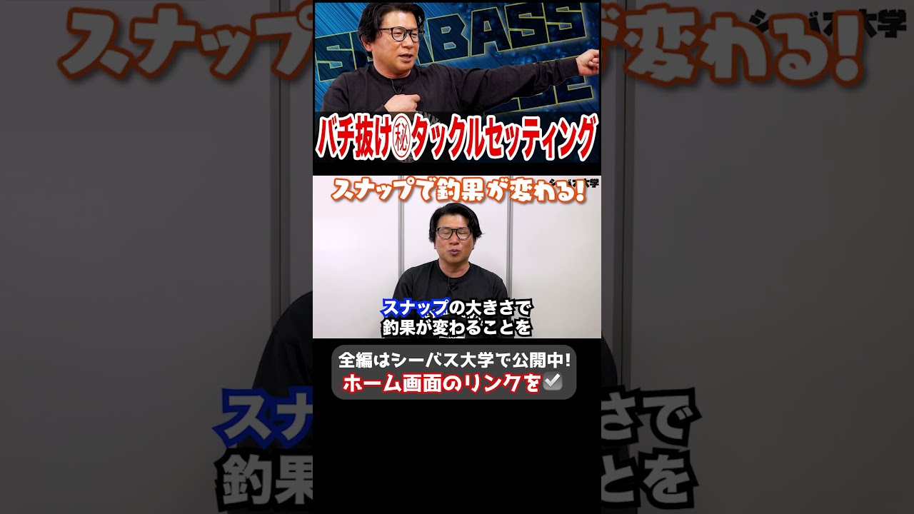 バチ抜け㊙️タックルセッティング