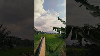 Download lagu Beautiful Villages in Indonesia 🇮🇩 #village #villagelife mp3