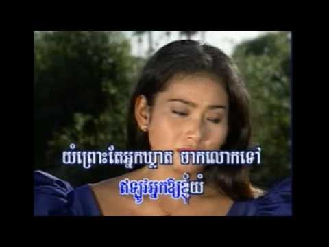 វាលស្រែវាលស្រូវ​  ,Veal sre Veal Srov , Collection 2016