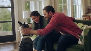 PetSmart Find Greenies Smart Essentials at PetSmart