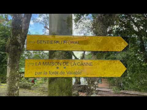 image : Samedi au jardin : la forêt de Vatable