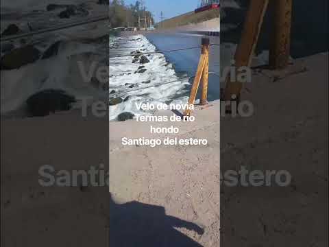 el velo de novia
